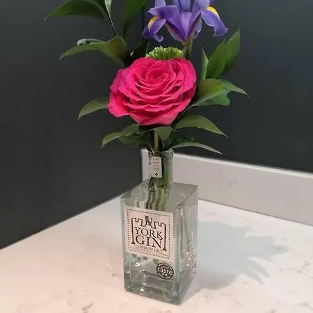 The Gin Suites Luxury Studio *